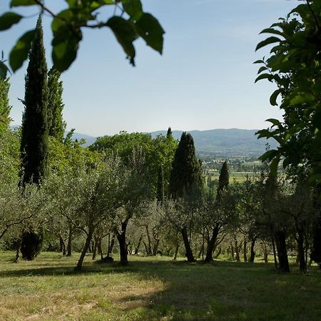 Villa Degli Ulivi Ассизи Экстерьер фото