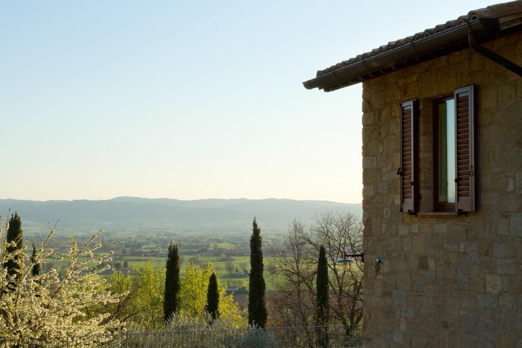 Villa Degli Ulivi Ассизи Экстерьер фото