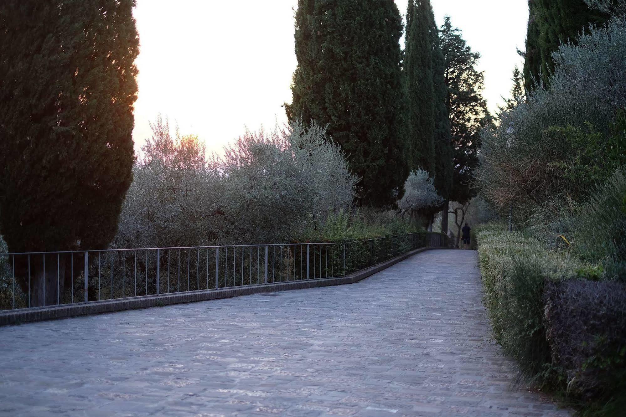 Villa Degli Ulivi Ассизи Экстерьер фото